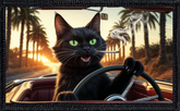 Smoking Cat Driving