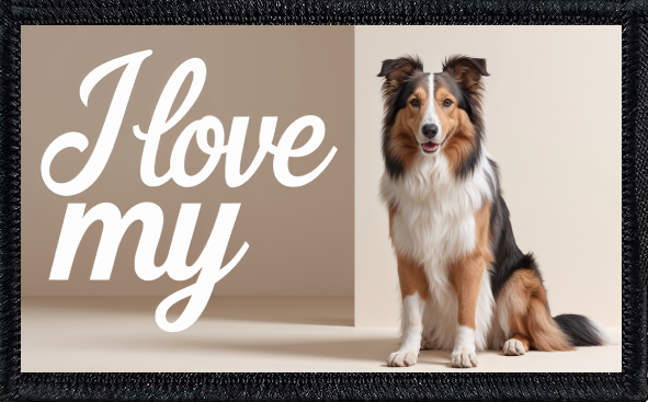 I Love My Collie
