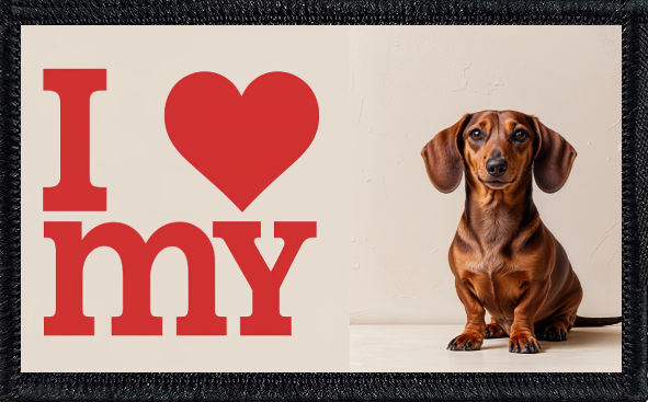 I Love My Dachshund