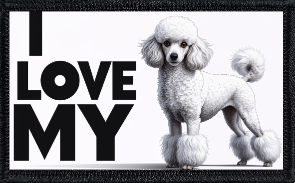 I Love My Poodle