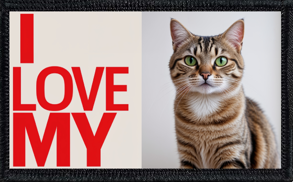 I Love My Tabby Cat