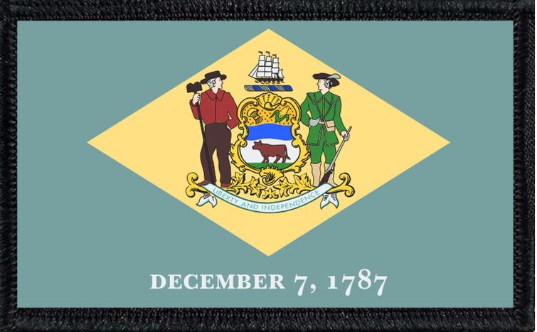 Delaware State Flag Collection Bundle