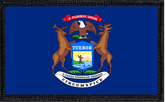 Michigan State Flag Collection Bundle