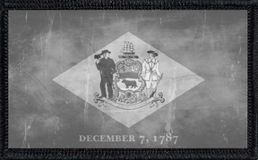 Delaware State Flag Collection Bundle
