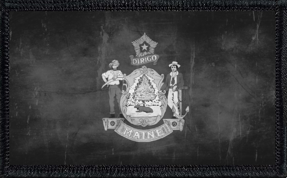 Maine State Flag Black and White Distressed