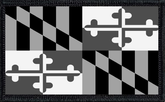 Maryland State Flag Black and White