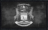 Michigan State Flag Black and White Distressed