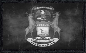 Michigan State Flag Collection Bundle