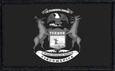 Michigan State Flag Black and White