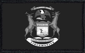 Michigan State Flag Collection Bundle