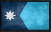 Minnesota State Flag Distressed