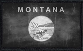 Montana State Flag Black and White Distressed