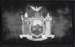 New York State Flag Collection Bundle