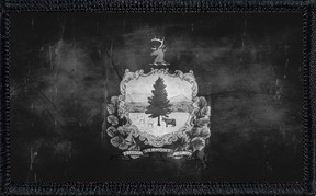 Vermont State Flag Collection Bundle