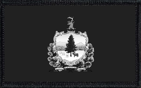 Vermont State Flag Collection Bundle