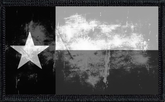 Texas State Flag Black and White Distressed