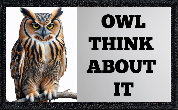 Owl Think About It