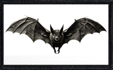Vampire Bat