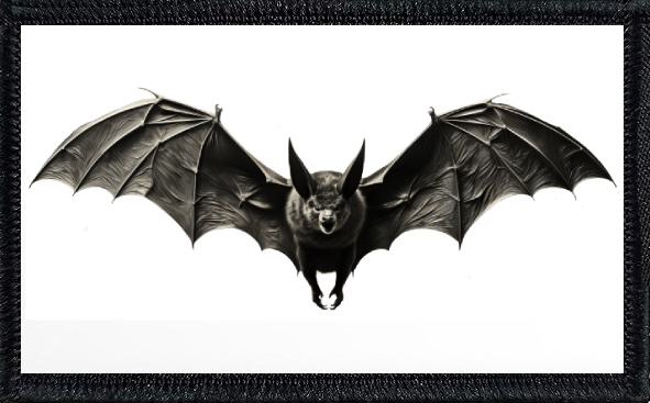 Vampire Bat
