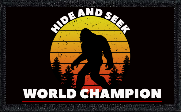 Hide And Seek World Champion